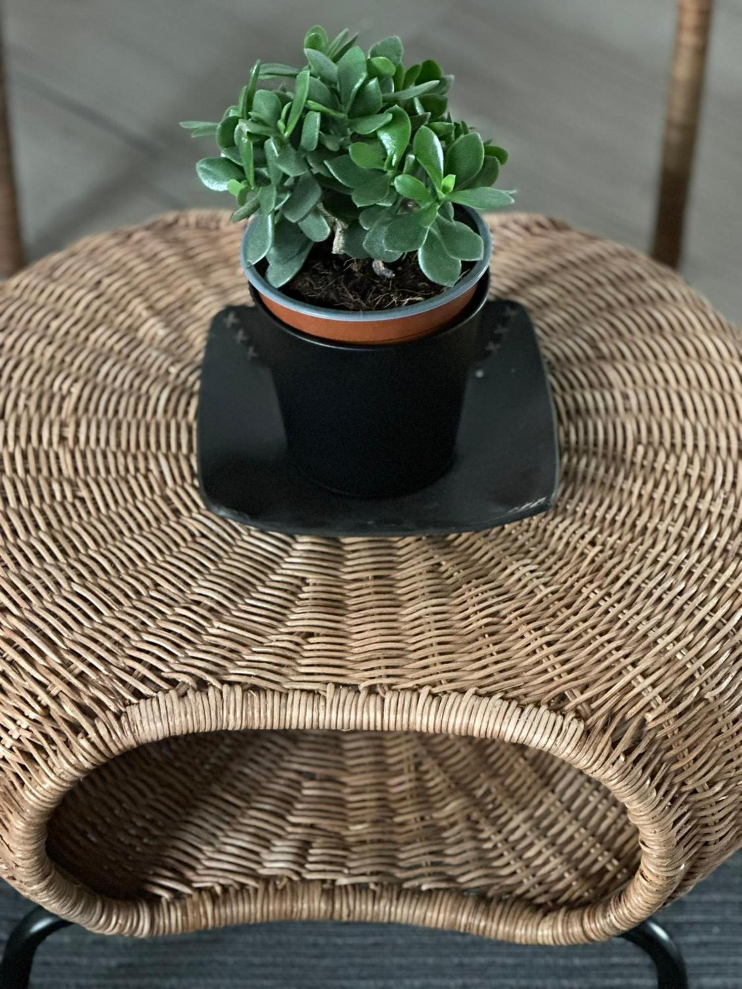 Apartament Malaga'S Secret Zewnętrze zdjęcie