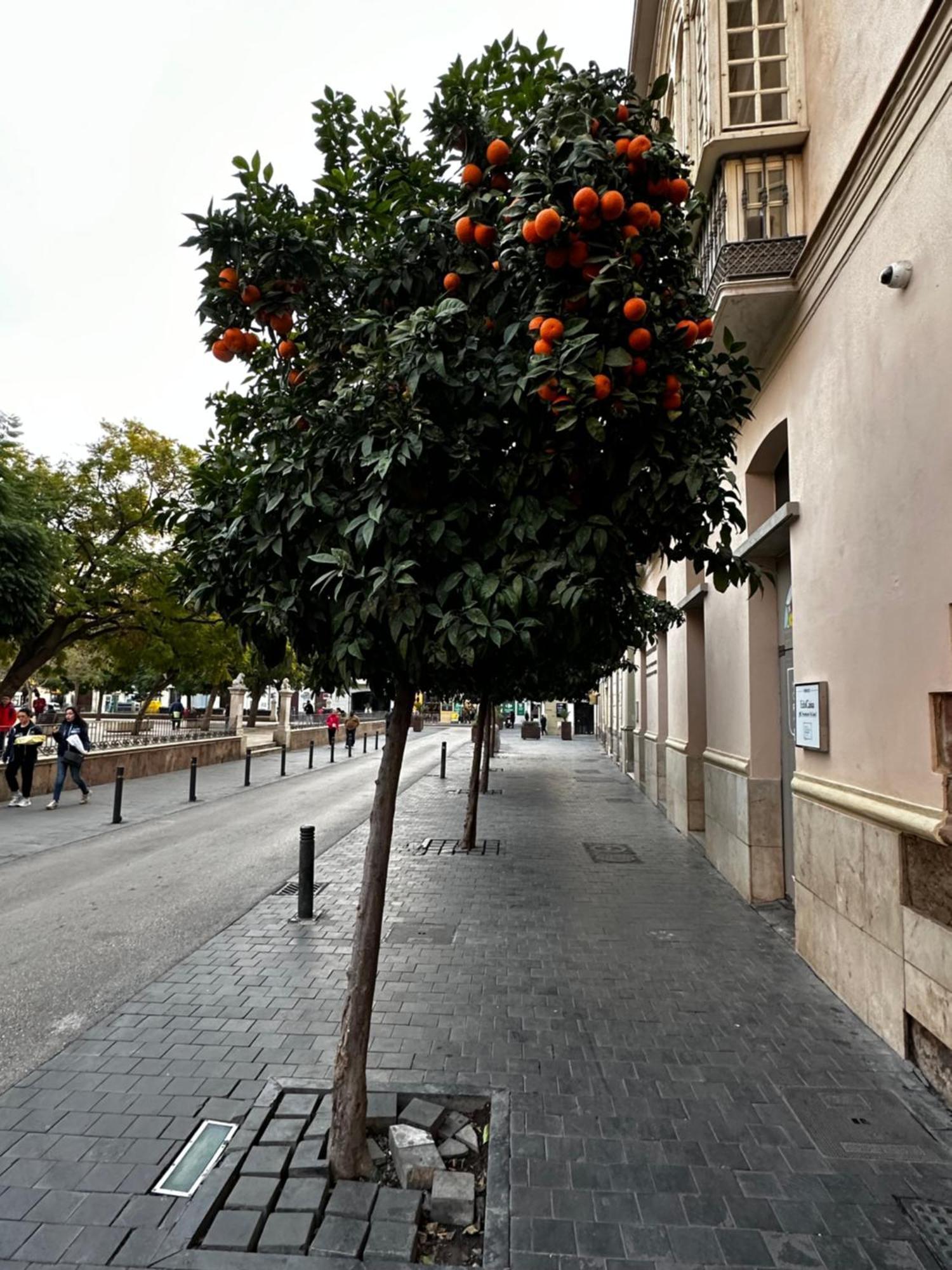 Apartament Malaga'S Secret Zewnętrze zdjęcie